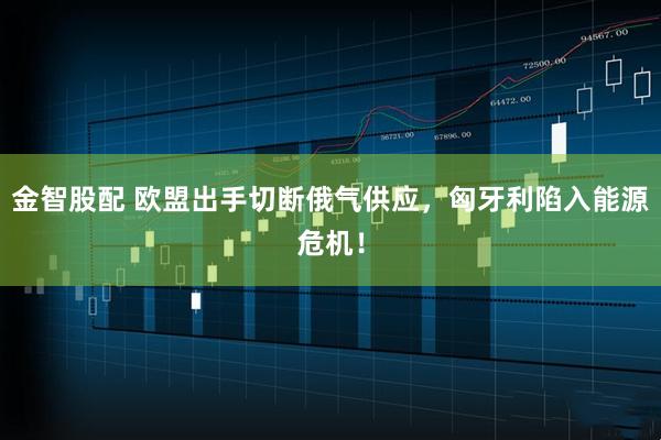 金智股配 欧盟出手切断俄气供应，匈牙利陷入能源危机！